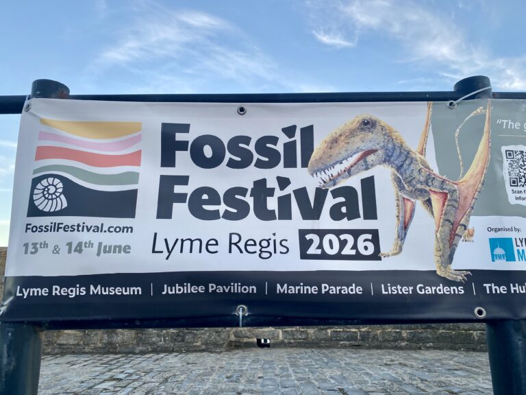 Fossil Festival 2026